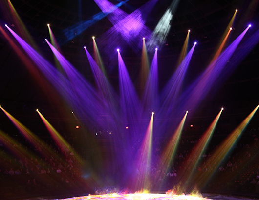 蚂蚁分类信息系统